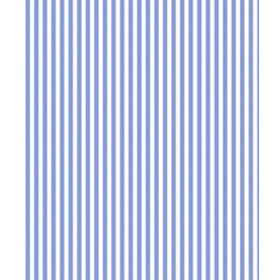 IMAGE_T