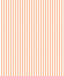 IMAGE_T