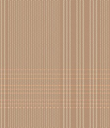 IMAGE_T