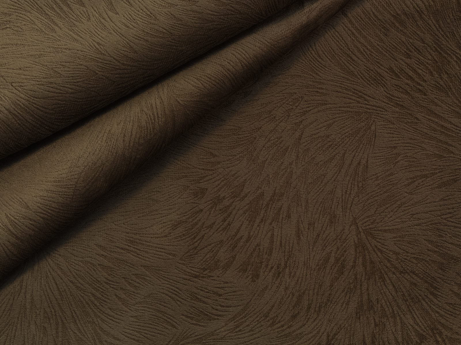IMAGE_L