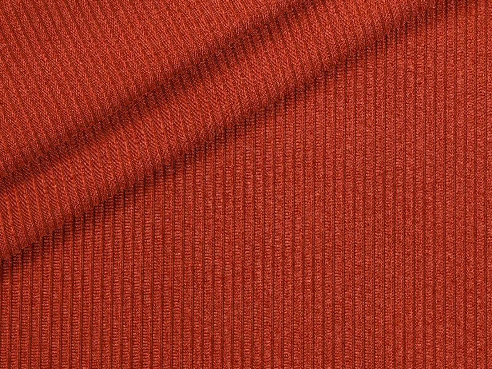 IMAGE_L