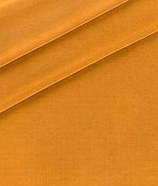IMAGE_T