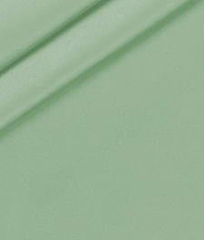 IMAGE_T