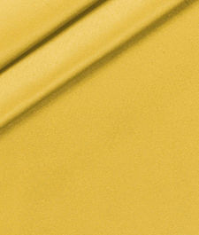 IMAGE_T