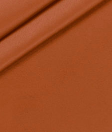 IMAGE_T