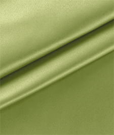 IMAGE_T