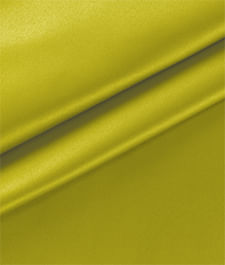 IMAGE_T
