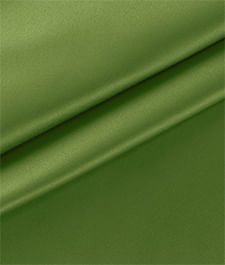 IMAGE_T