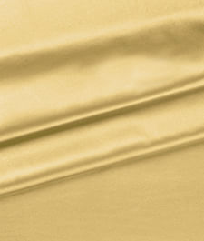 IMAGE_T