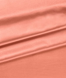 IMAGE_T