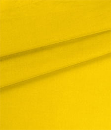 IMAGE_T