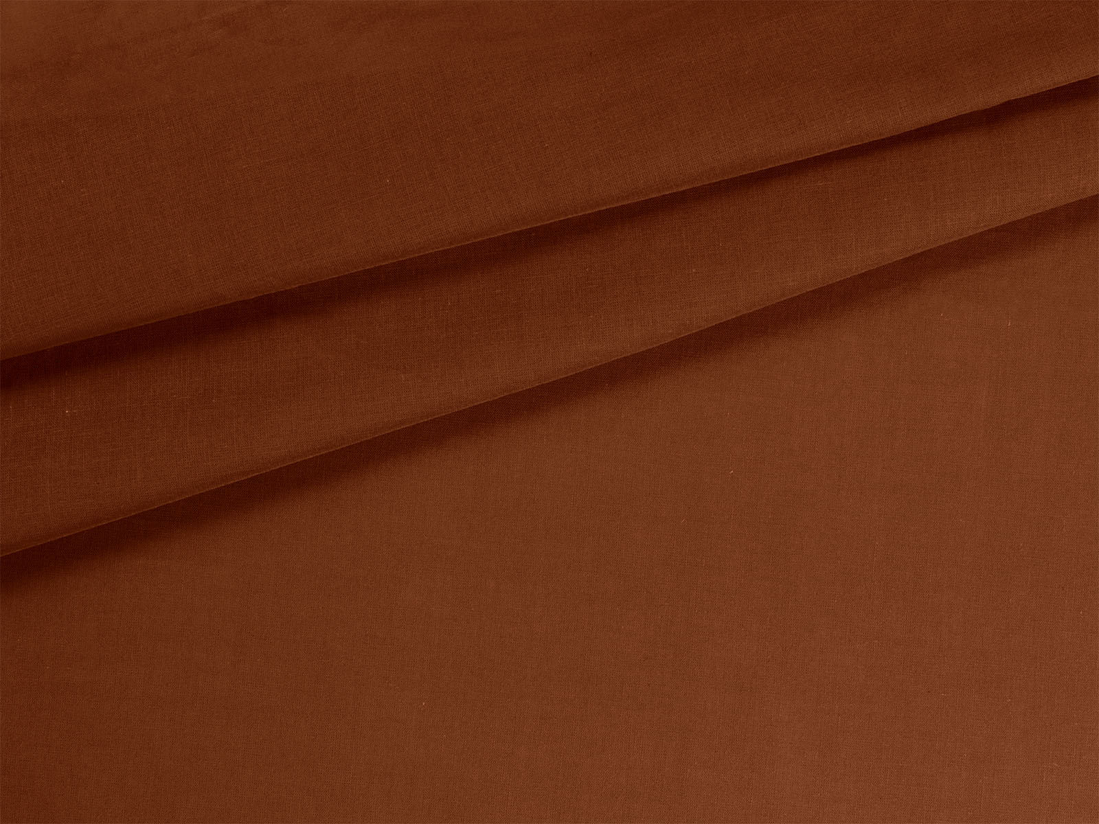 IMAGE_L