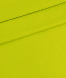 IMAGE_T
