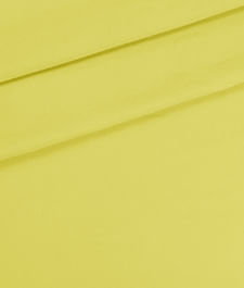 IMAGE_T