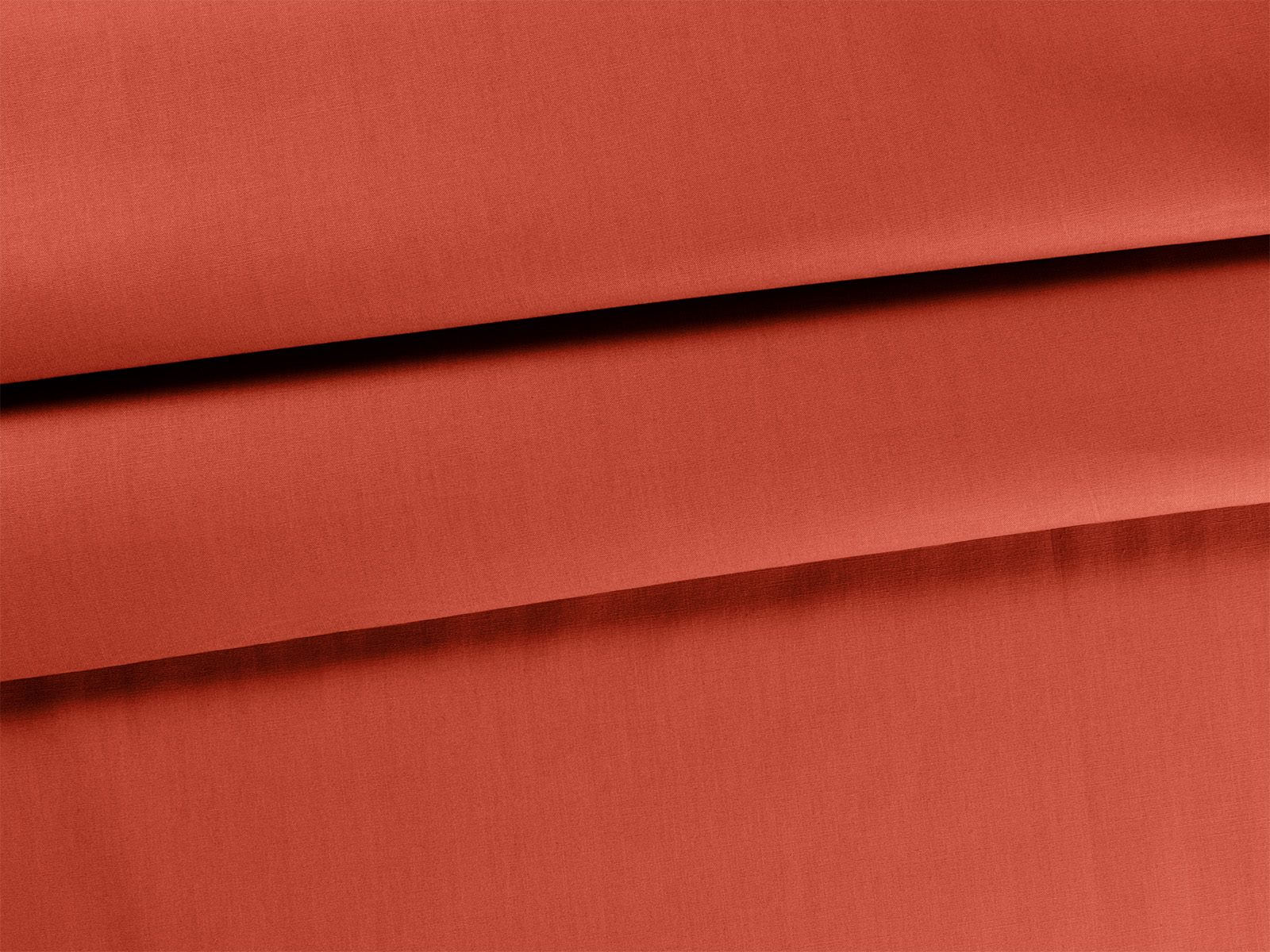 IMAGE_L