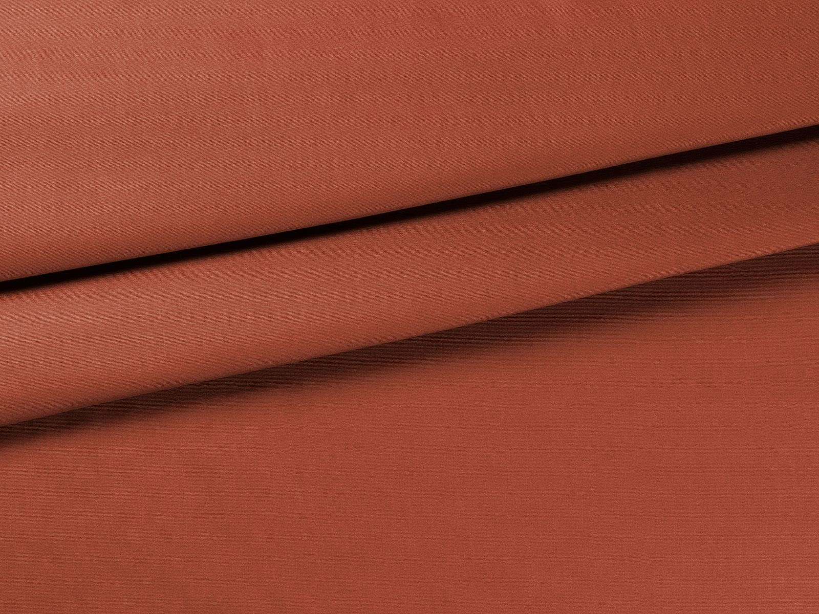 IMAGE_L