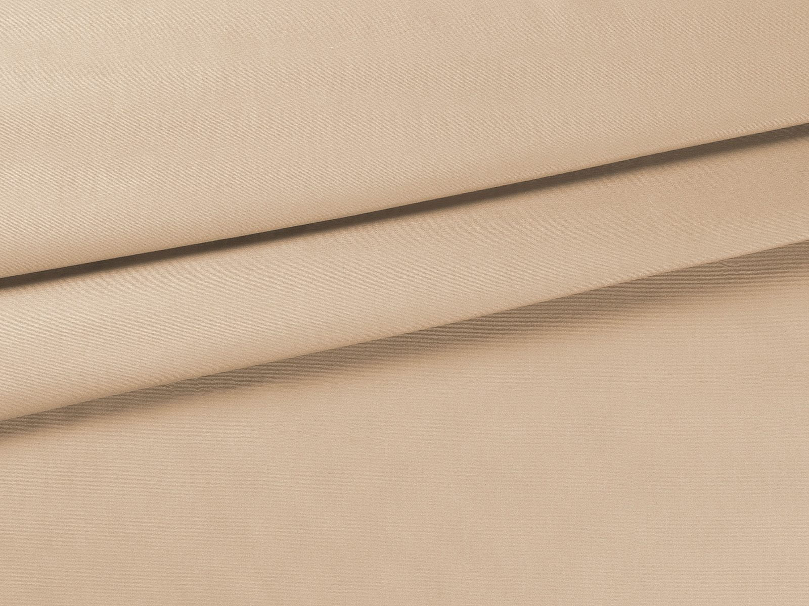 IMAGE_L