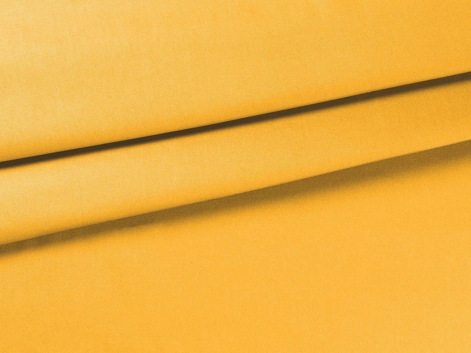 IMAGE_L