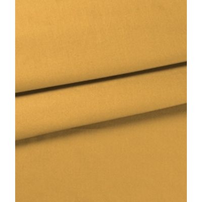 IMAGE_T