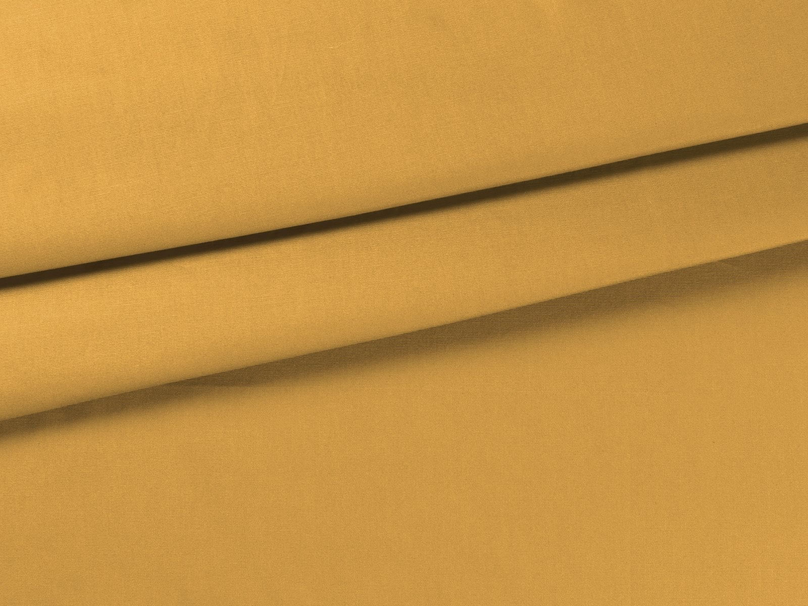 IMAGE_L