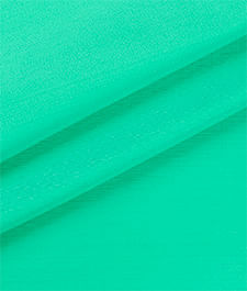 IMAGE_T
