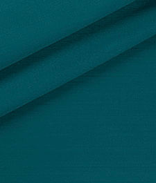 IMAGE_T