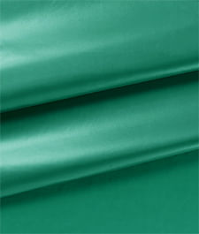 IMAGE_T