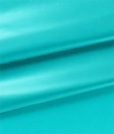 IMAGE_T