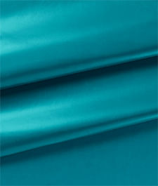 IMAGE_T