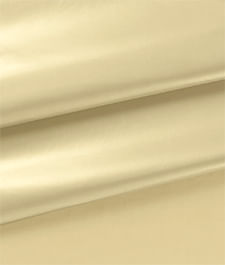 IMAGE_T