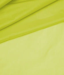 IMAGE_T