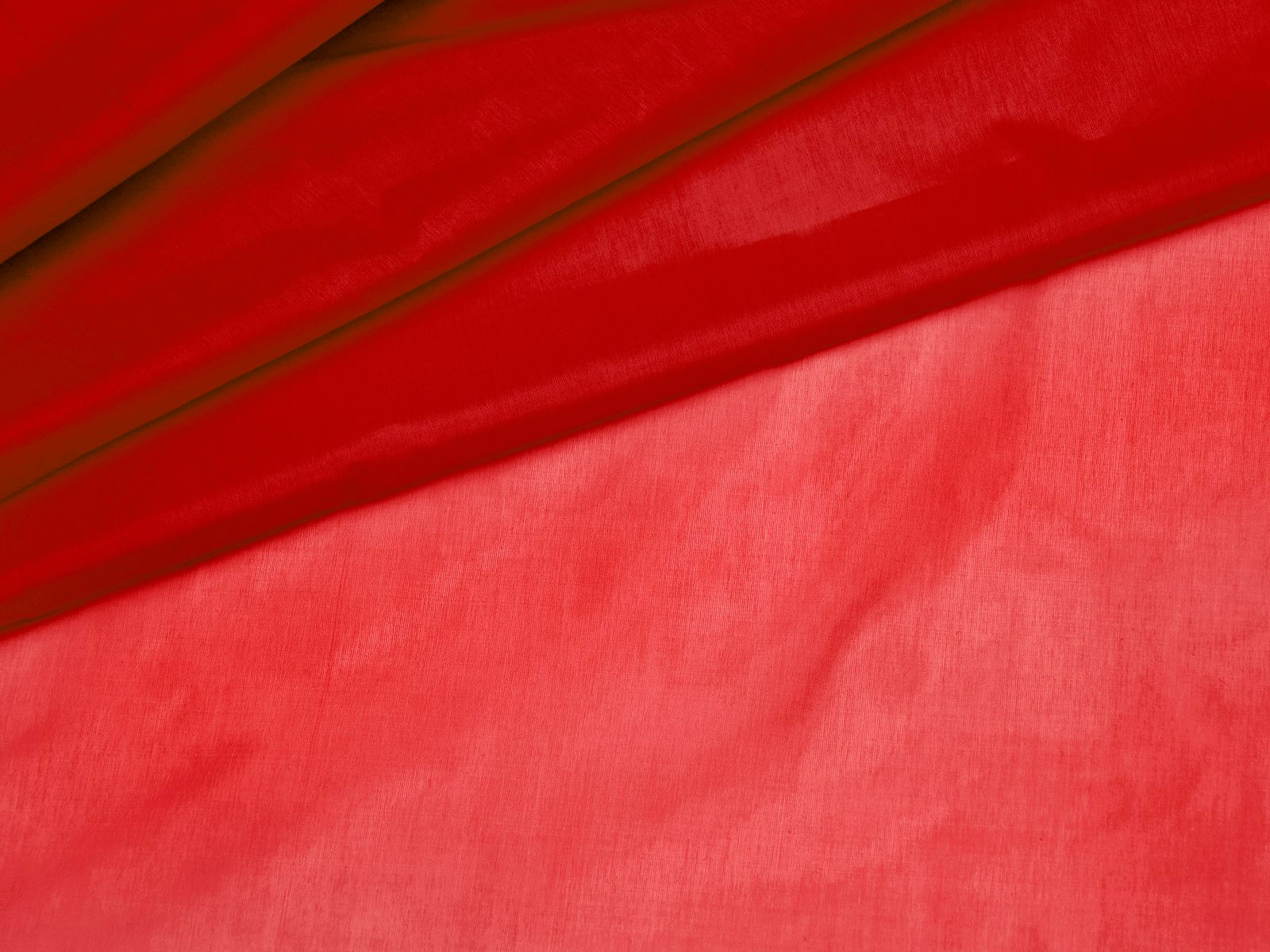 IMAGE_L