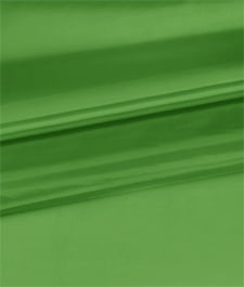 IMAGE_T