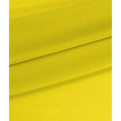 IMAGE_T