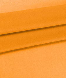 IMAGE_T