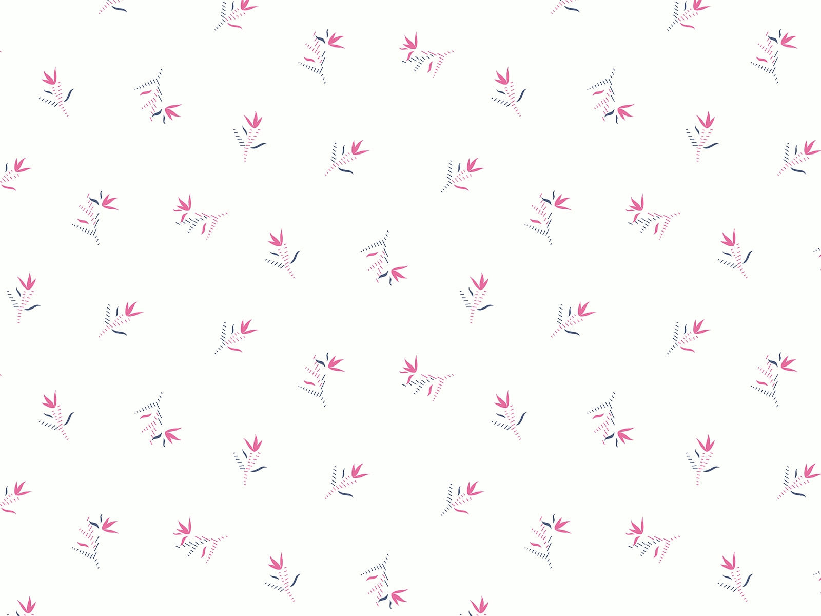 IMAGE_L