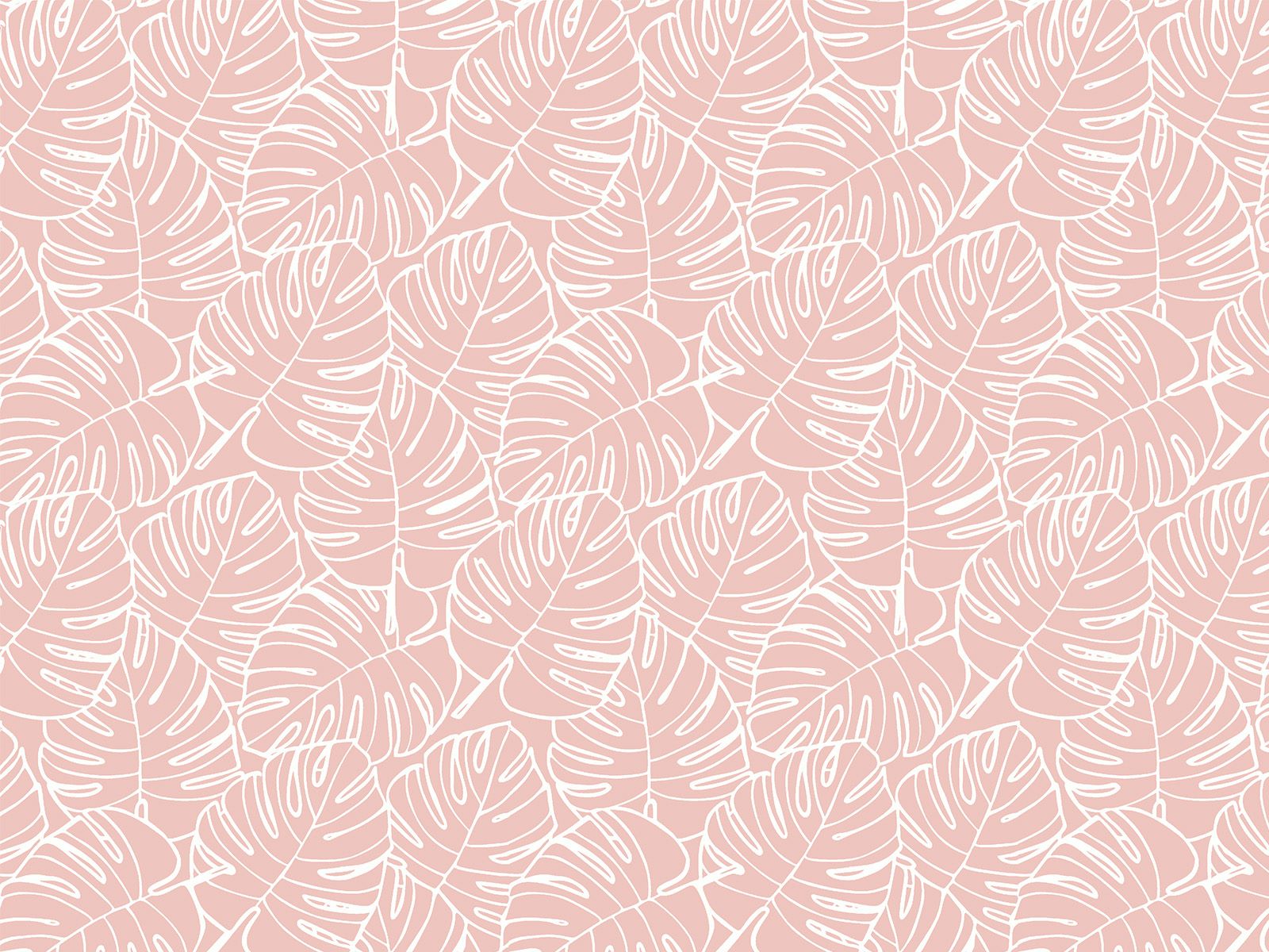 IMAGE_L