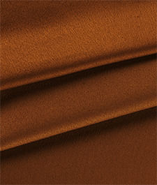 IMAGE_T