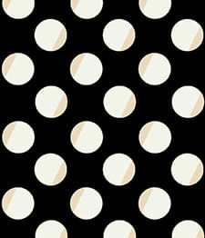 IMAGE_T
