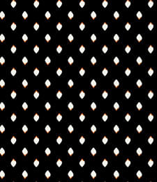 IMAGE_T