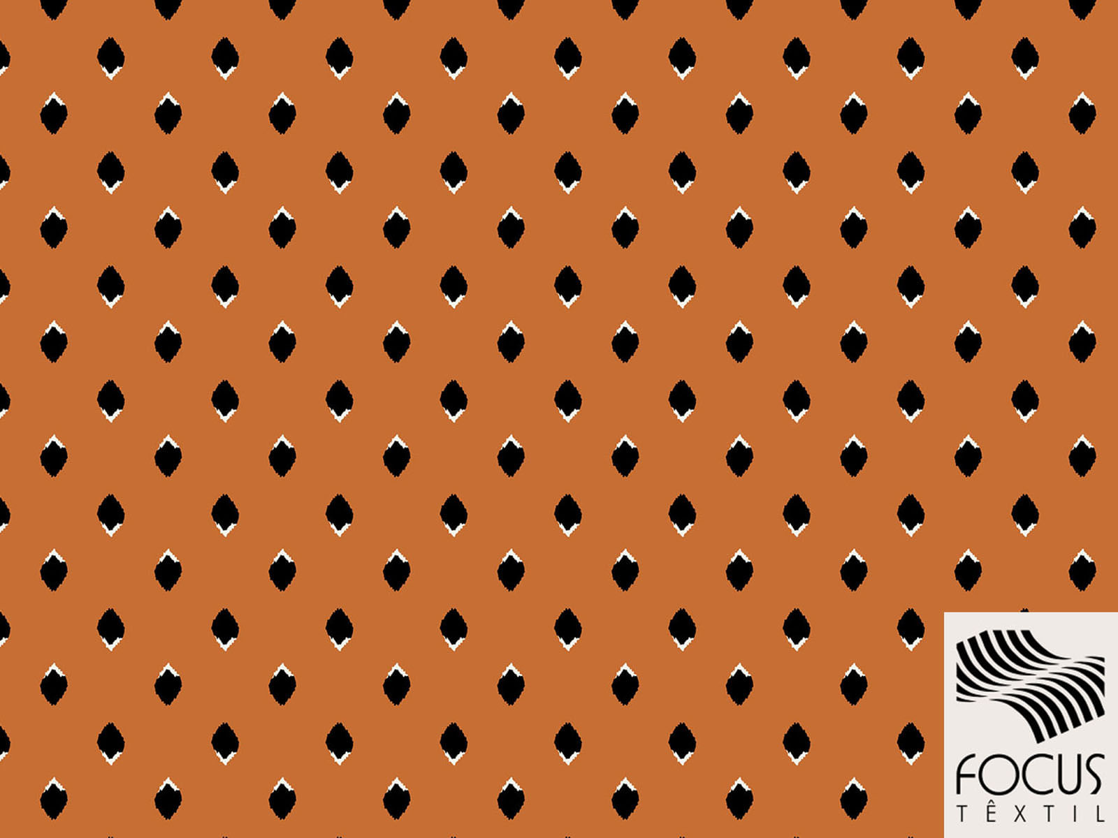 IMAGE_L