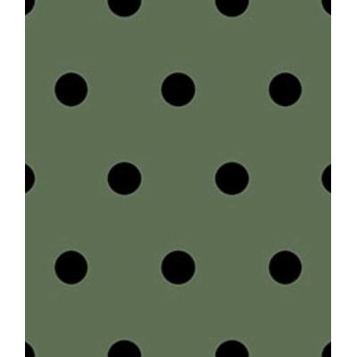 IMAGE_T