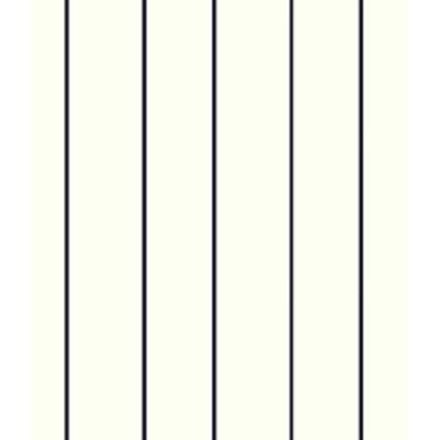 IMAGE_T