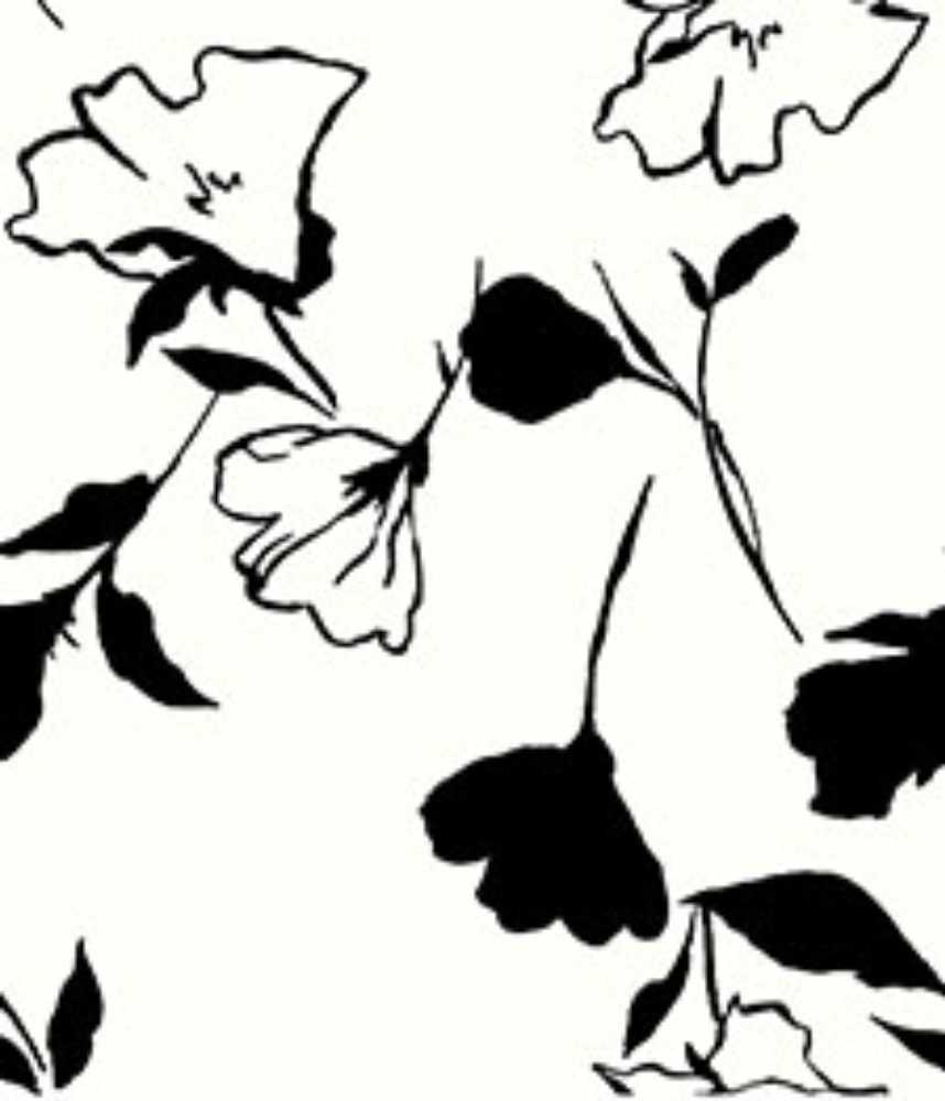 IMAGE_T