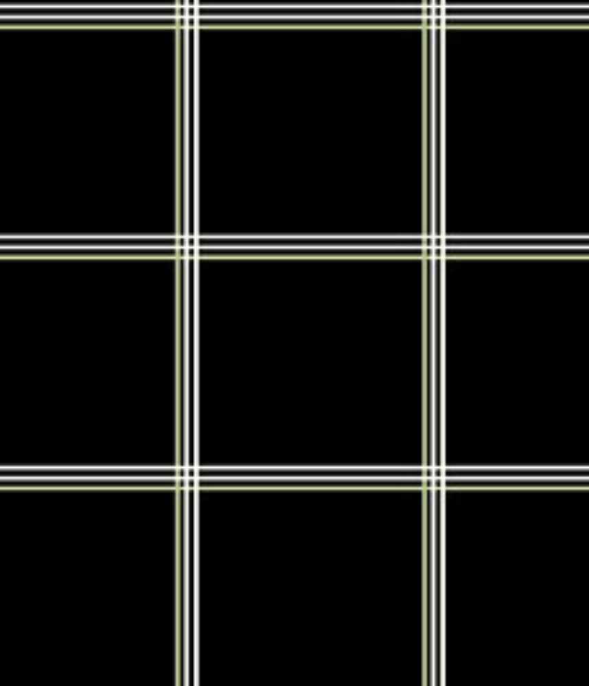 IMAGE_T