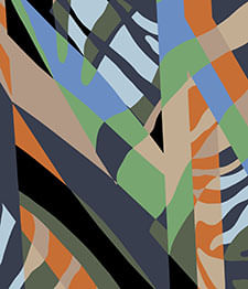 IMAGE_T