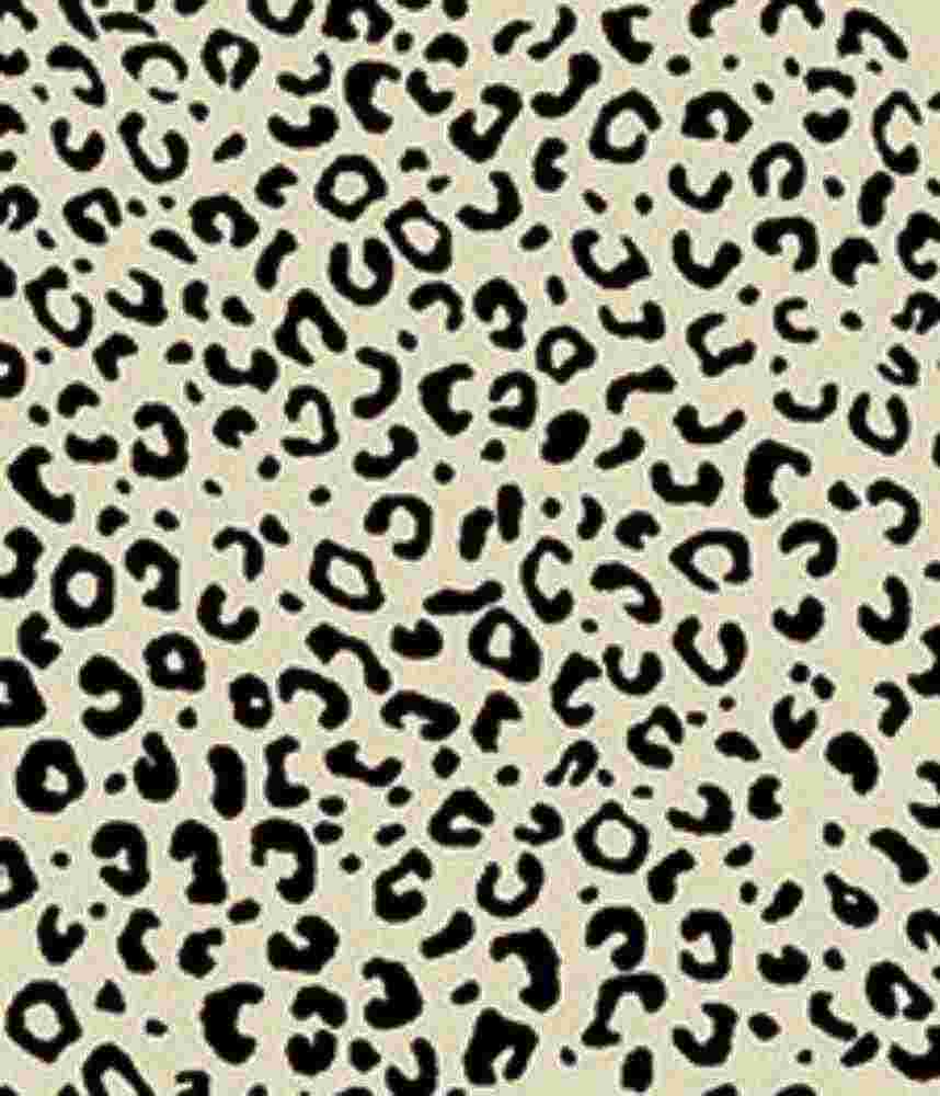 IMAGE_T