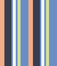 IMAGE_T