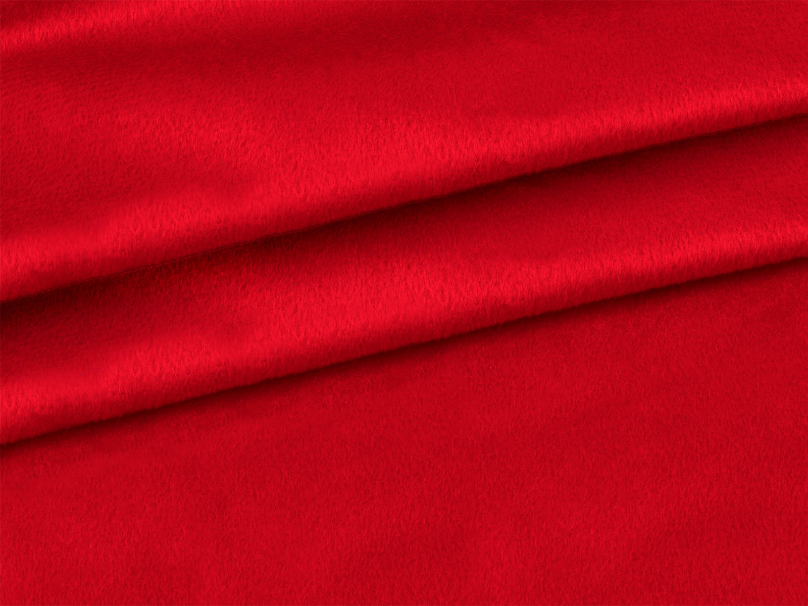 IMAGE_L