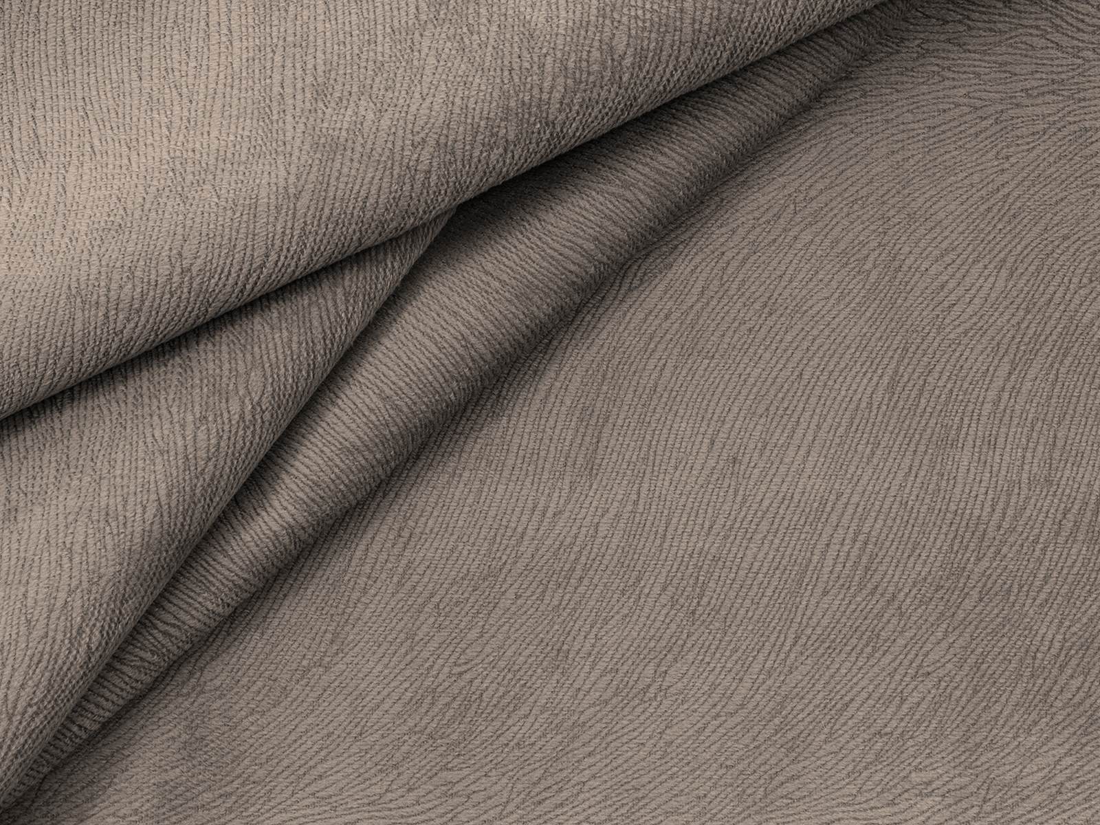 IMAGE_L